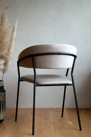 Image of the back of the Curved Back Velvet Dining Chair In Mink Grey