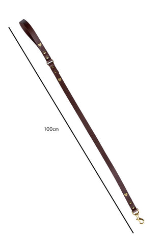 Dimension image of the Dark Brown Leather Dog Lead With Hearts