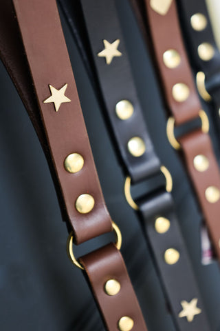Close-up image of the Dark Brown Leather Dog Lead With Stars with other designs