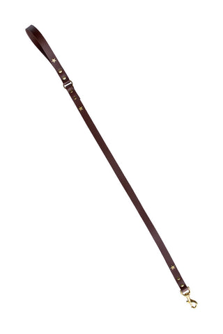 Image of the Dark Brown Leather Dog Lead With Stars on a white background