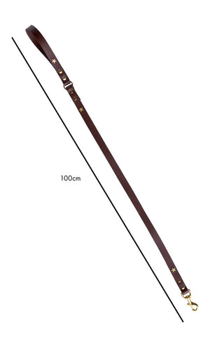 Dimension image of the Dark Brown Leather Dog Lead With Stars