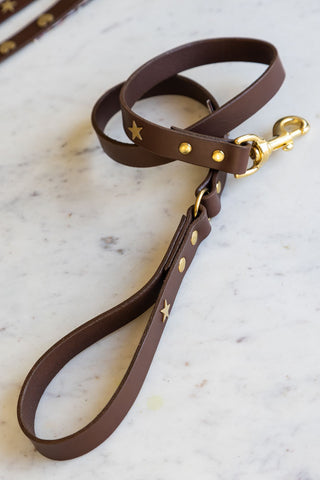 Lifestyle image of the Dark Brown Leather Dog Lead With Stars