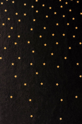 Medium closeup image of the Rockett St George Falling Stars Black Mural