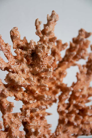 Close-up image of the Faux Coral Ornament