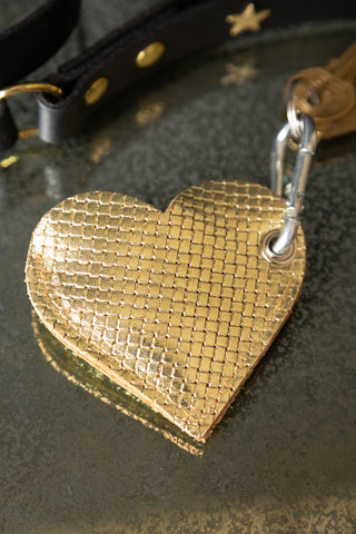 Lifestyle image of the Gold Heart Dog Poo Bag Pouch