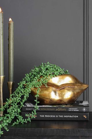 Lifestyle image of the Gold Lips Short Stem Vase