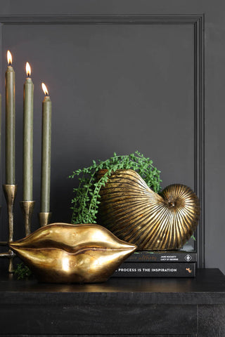 Image of the Gold Shell Planter with the Gold Lips Short Stem Vase 