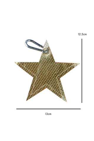 Dimension image of the Gold Star Dog Poo Bag Pouch