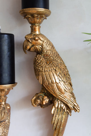 Golden Macaw Parrot Candle Holder - 2 Options Available