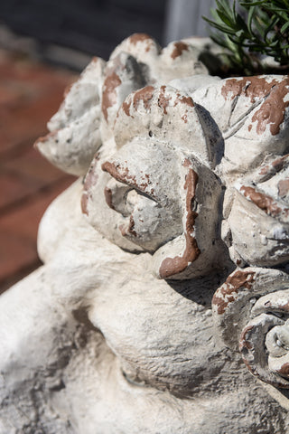 Close-up image of the Large Rustic Stone Effect Lion Head Planter