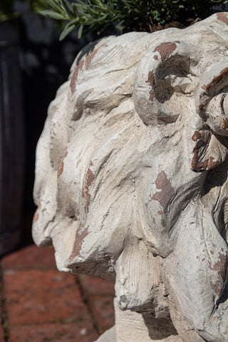 Close-up image of the mane on the Large Rustic Stone Effect Lion Head Planter