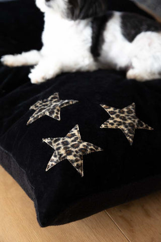 Image of the Leopard Stars Dog Bed - 3 Available Sizes