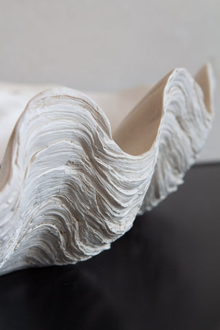 Close-up image of the scalloping on the Large White Resin Clam Shell Display Dish