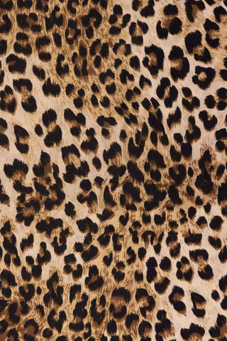 Close-up image of the Rockett St George Wild Leopard Love Print Wallpaper