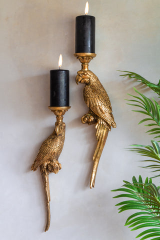 Image showing two gold parrot candle holders containing lit black candles, displayed on a white wall with surrounding foliage.