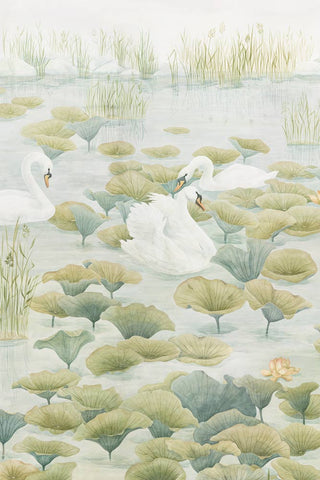 Image of the Sian Zeng Ltd Swan Lake Green Mural Wallpaper