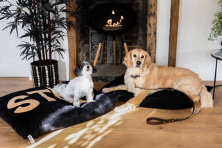Landscape image of the Stud Dog Bed - 3 Available Sizes