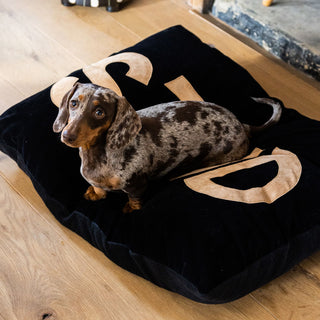 image of dog bed as part of RSG pet collection