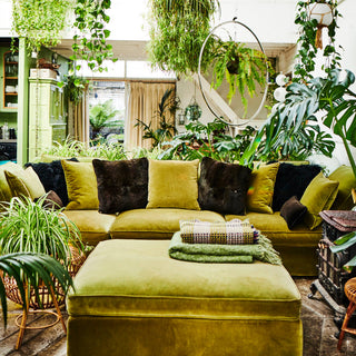 lifestyle image of white and green lounge