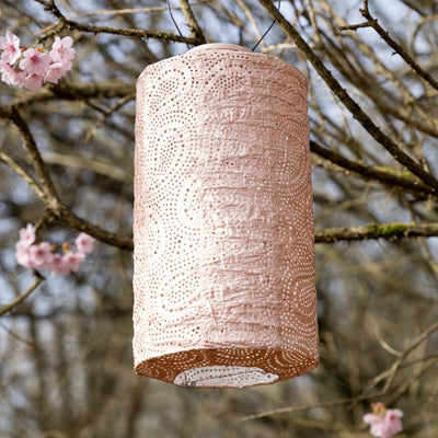 A solar lantern hanging outdoors in a cherry blossom tree.