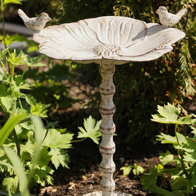 A bird bath outdoors in the sun in a garden.