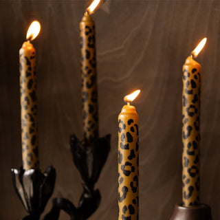 Lifestyle image of Rockett St George Candles styled in Rockett St George Candle Holders.