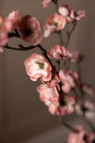 A faux white ranunculous stem styled in a vase in front of a dark wall.
