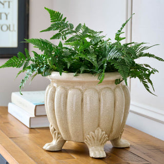 Lifestyle image of the Vintage Footed Planter displayed with a plant inside on a wooden table, with a plant inside and books and art print in the background. 