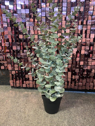 Rockett St George Faux Eucalyptus Plant In Pot
