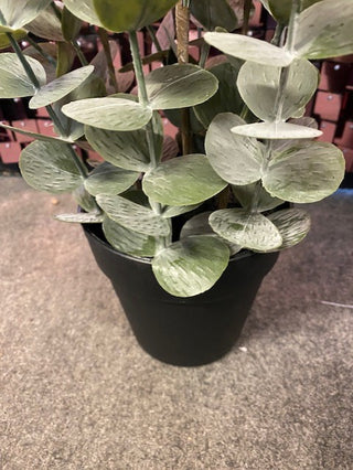 Rockett St George Faux Eucalyptus Plant In Pot
