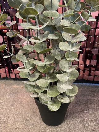 Rockett St George Faux Eucalyptus Plant In Pot