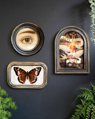 Three framed decorative wall art pieces displayed on a dark charcoal wall with green plants around them. The left piece is a round frame showing a close-up of a human eye.