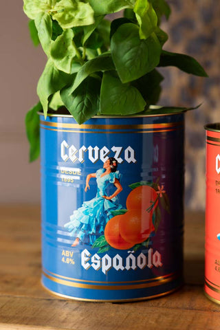 One of the Set Of 2 Flamenco & Orange Kitchen Storage Tins with a plant inside.