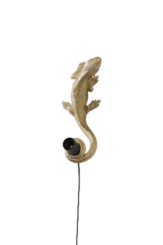Image of the Gold Lizard Table/Wall Light on a white background
