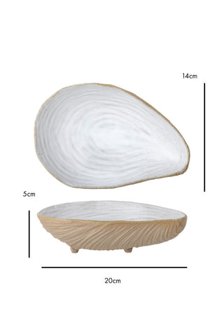 Dimension image of the Oyster Shell Dish