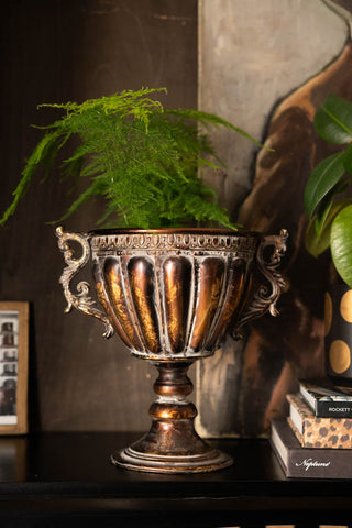 Image of the Antiqued-Style Indoor Planter