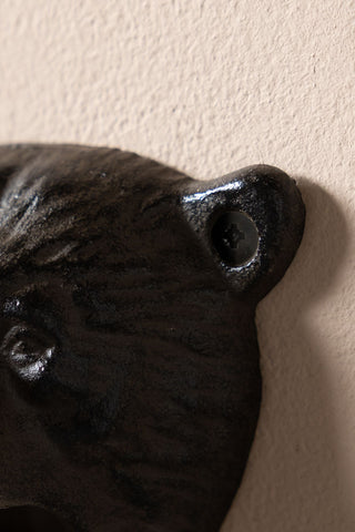 Detail of the Bear Head Wall Mounted Bottle Opener, showing the ear where it is screwed into the wall. 