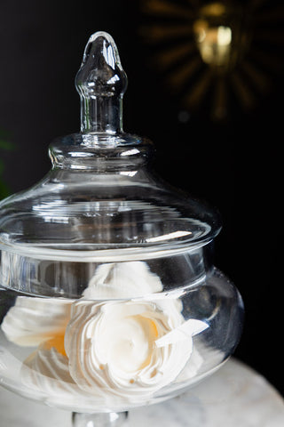 Close-up image of the Beautiful Apothecary-Style Glass Jar With Lid