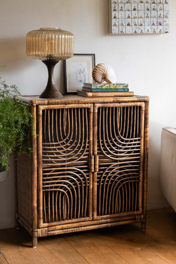 Beautiful Dark Brown Rattan 2 Door Cabinet | Rockett St George