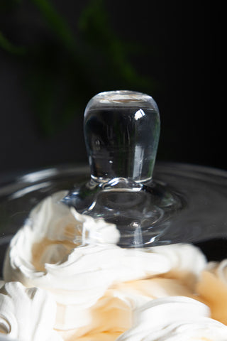 Image of the lid for the Beautiful Glass Storage Jar With Lid