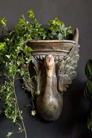 Image of the Beautiful Swan Wall Decoration