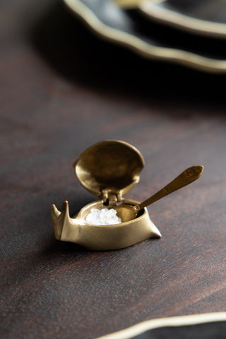 The Brass Disco Snail Salt Cellar with the lid open and some salt inside, displayed on a datrk wooden surface.