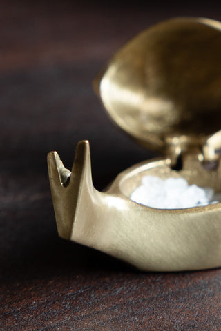 Close-up of the face of the Brass Disco Snail Salt Cellar.
