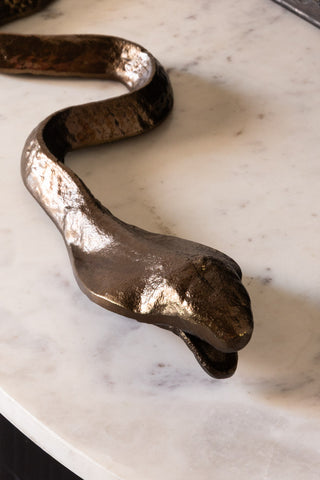 The head of the Bronze Cobra Snake Ornament. 