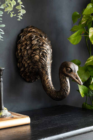 Ostrich head wall ornament displayed on a black wall, surrounded by greenery and a candlestick on a book. 
