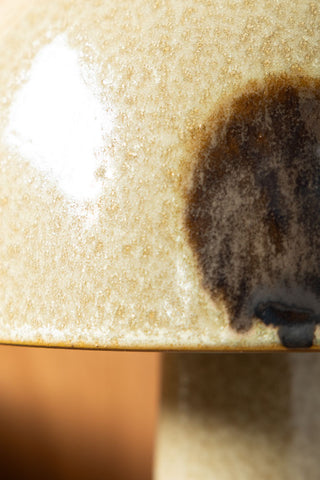 Close-up image of the Brown Spot Mushroom Table Lamp