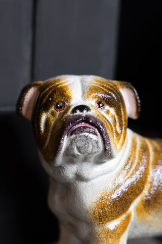 The face of the Bulldog Terrier Cast Iron Doorstop. 