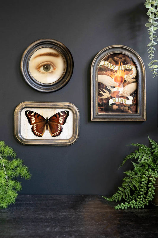 The framed artworks styled on a dark wall and surrounded by plants.