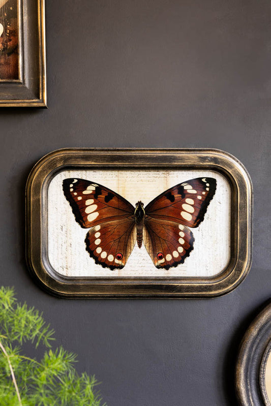 The Vintage-Style Butterfly Framed Wall Art styled on the wall with other artworks next to a plant.
