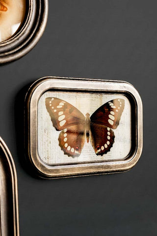 The Vintage-Style Butterfly Framed Wall Art seen from an angle, styled on a dark wall with two other artworks.
